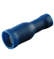 CT37